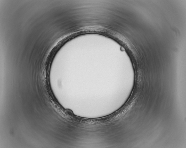 X0000110980923200907171728