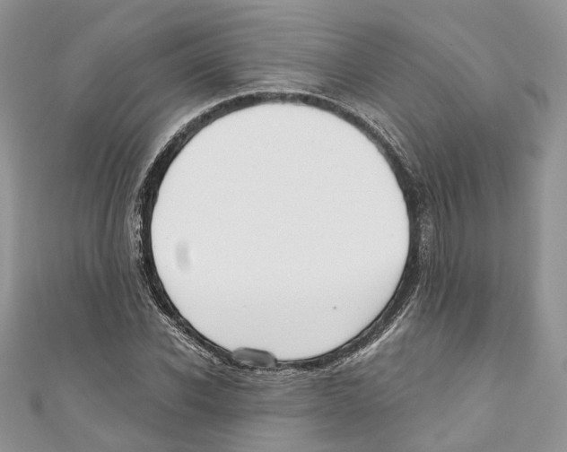 X0000110980926200907171728
