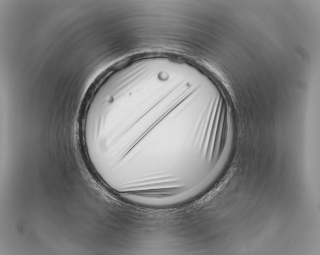 X0000110980928200907171728