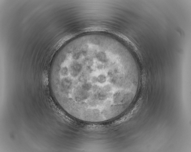 X0000110980929200907171728