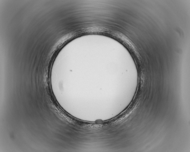 X0000110980930200907171728