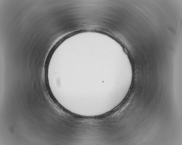 X0000110980932200907171728