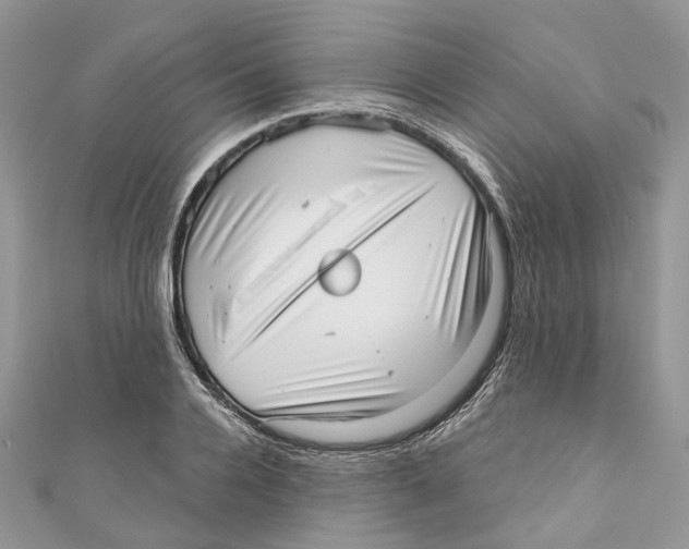 X0000110980936200907171728