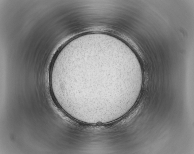 X0000110980939200907171729