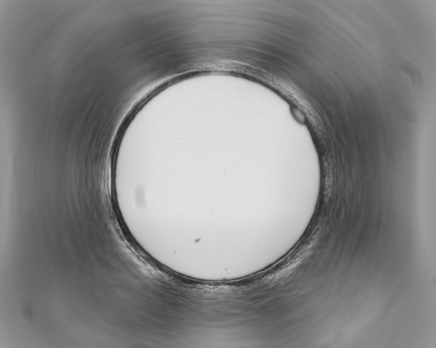 X0000110980940200907171729