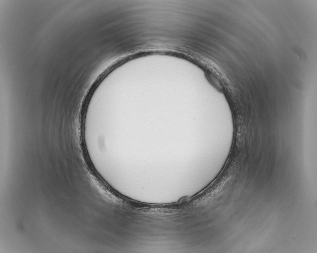 X0000110980942200907171729