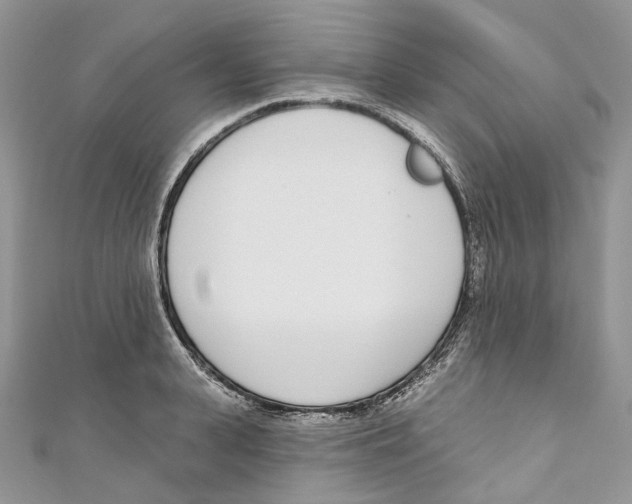 X0000110980943200907171729