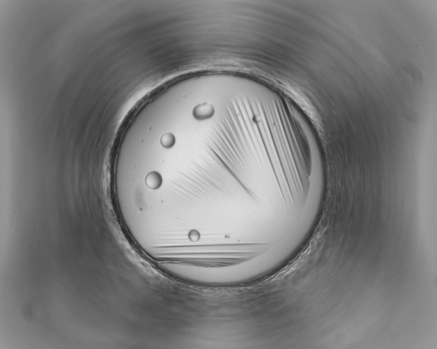 X0000110980944200907171729