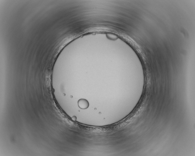 X0000110980945200907171729