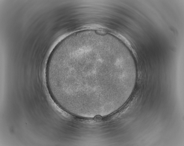 X0000110980947200907171729