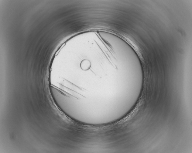X0000110980948200907171729