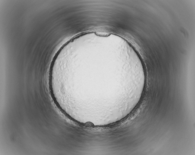 X0000110980949200907171729