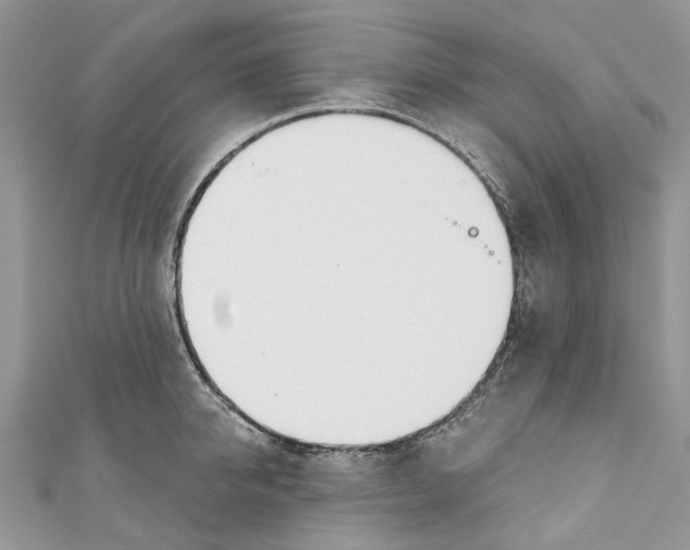 X0000110980950200907171729
