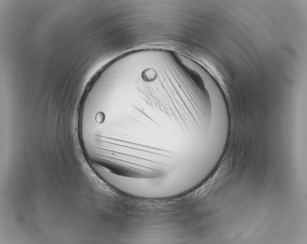 X0000110980952200907171729