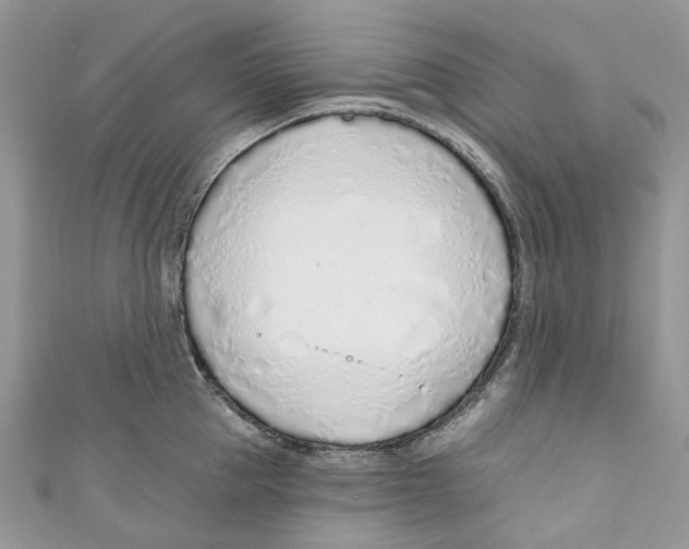 X0000110980953200907171729