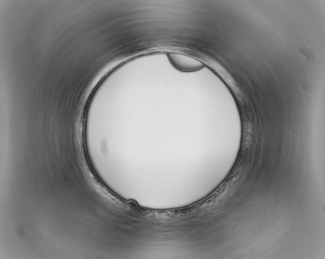 X0000110980955200907171729
