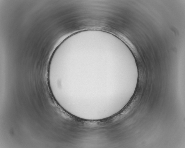 X0000110980956200907171729