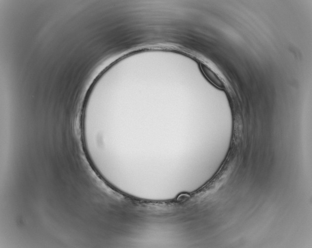 X0000110980959200907171729