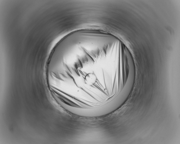 X0000110980960200907171729