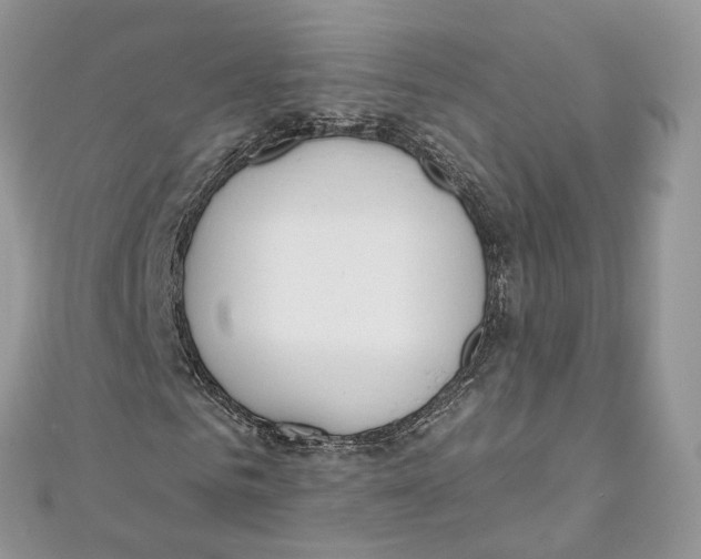 X0000110980961200907171728