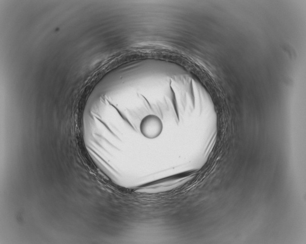X0000110980965200907171728