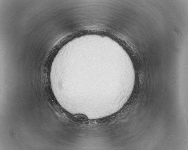 X0000110980968200907171728