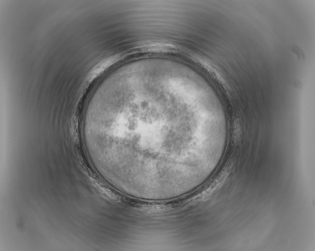 X0000110980970200907171728