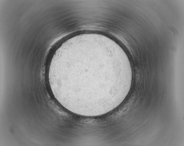 X0000110980971200907171728