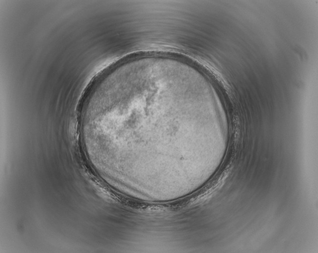 X0000110980974200907171728