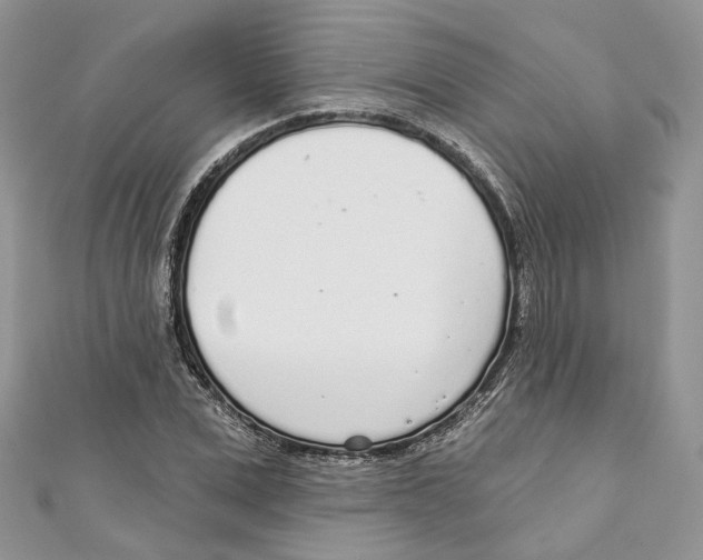 X0000110980975200907171728