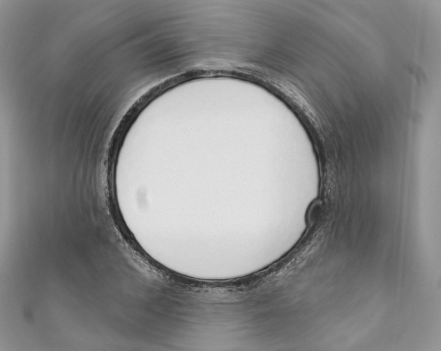 X0000110980976200907171728