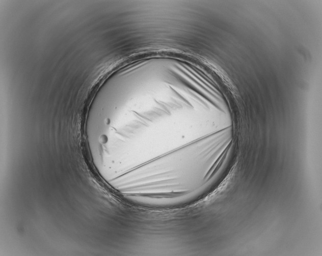 X0000110980977200907171728