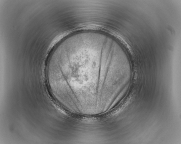 X0000110980978200907171728