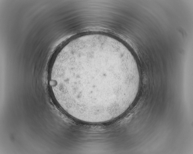 X0000110980979200907171728