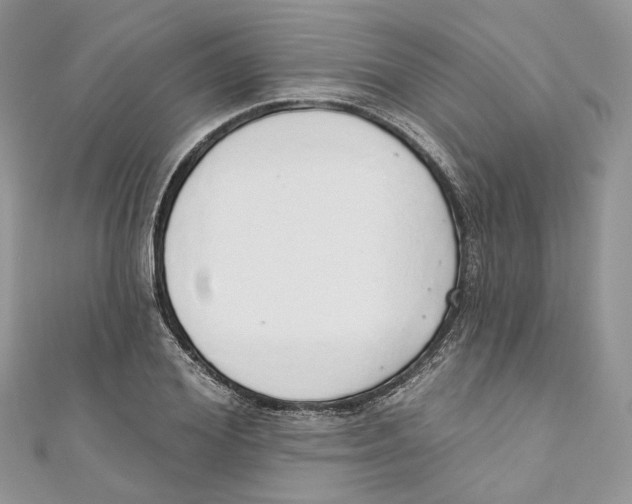 X0000110980980200907171728