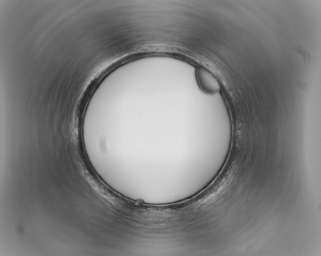 X0000110980981200907171728
