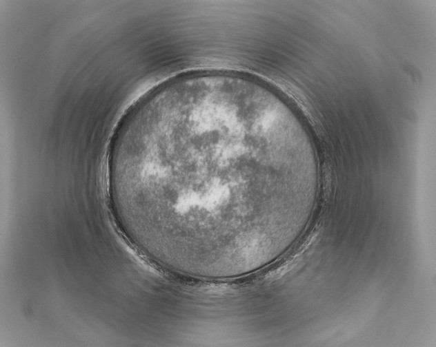 X0000110980982200907171728