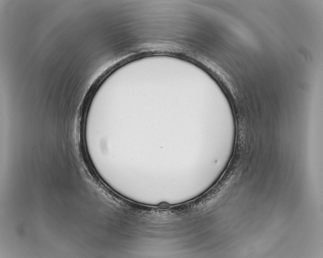 X0000110980983200907171728