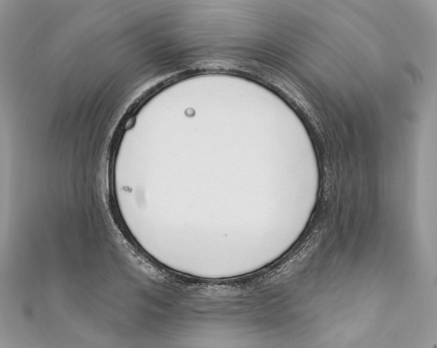 X0000110980984200907171728