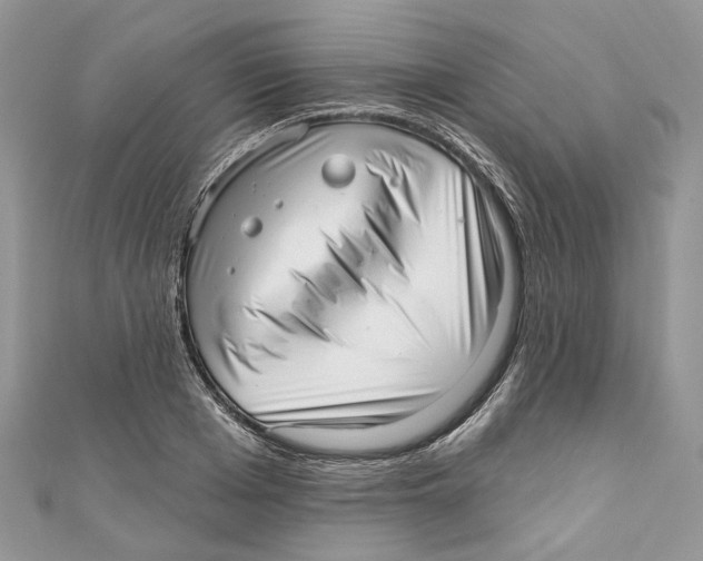 X0000110980985200907171728