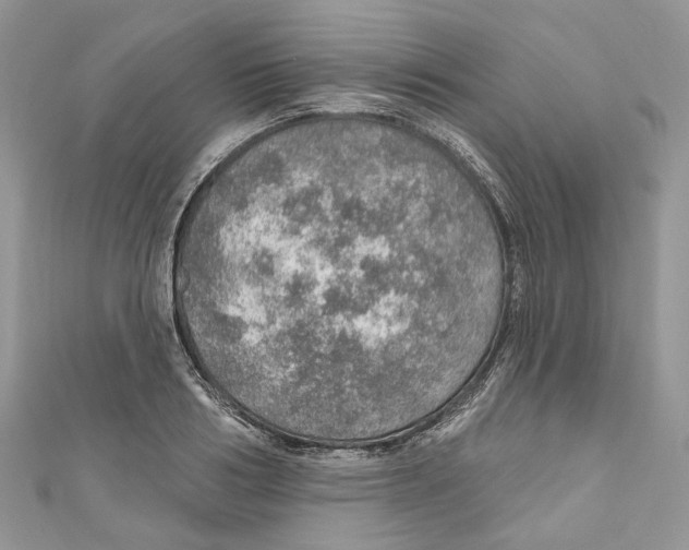 X0000110980986200907171728