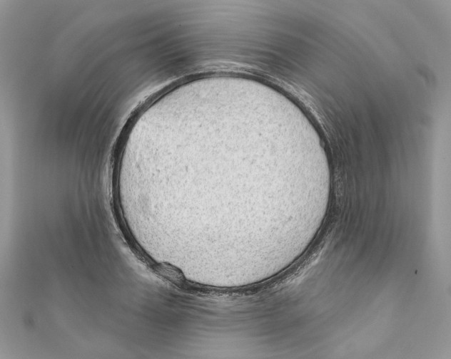 X0000110980987200907171728