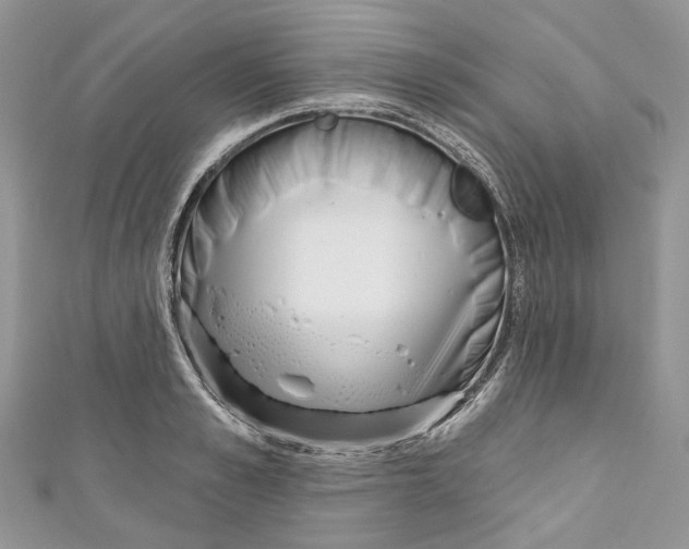 X0000110980989200907171728