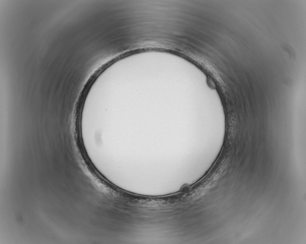 X0000110980991200907171728