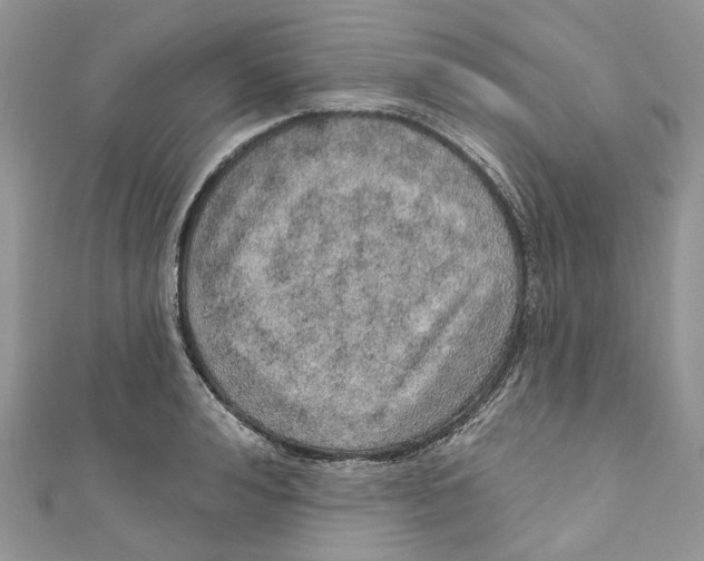 X0000110980992200907171728