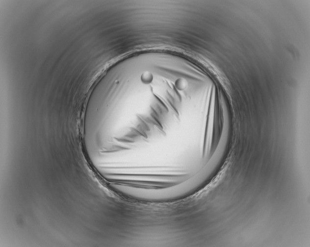 X0000110980993200907171728