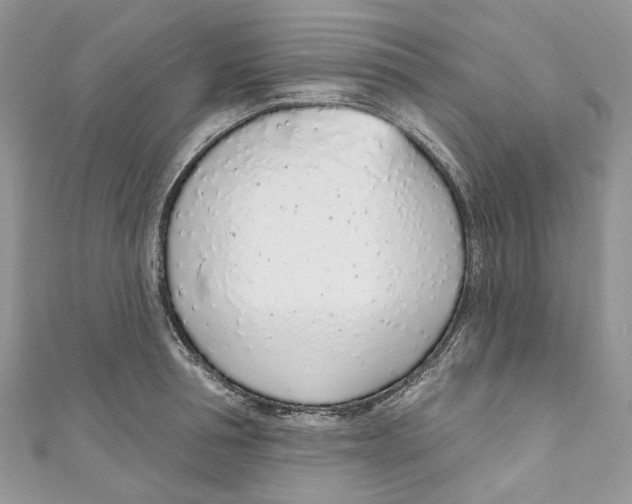 X0000110980994200907171728