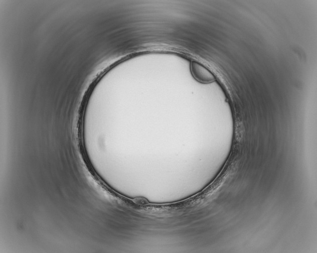 X0000110980995200907171728