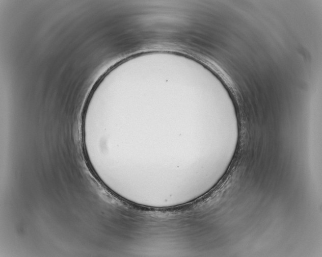 X0000110980996200907171728