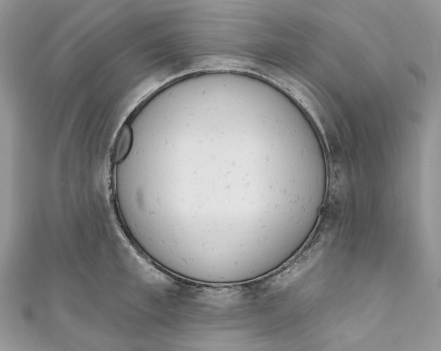 X0000110980997200907171728
